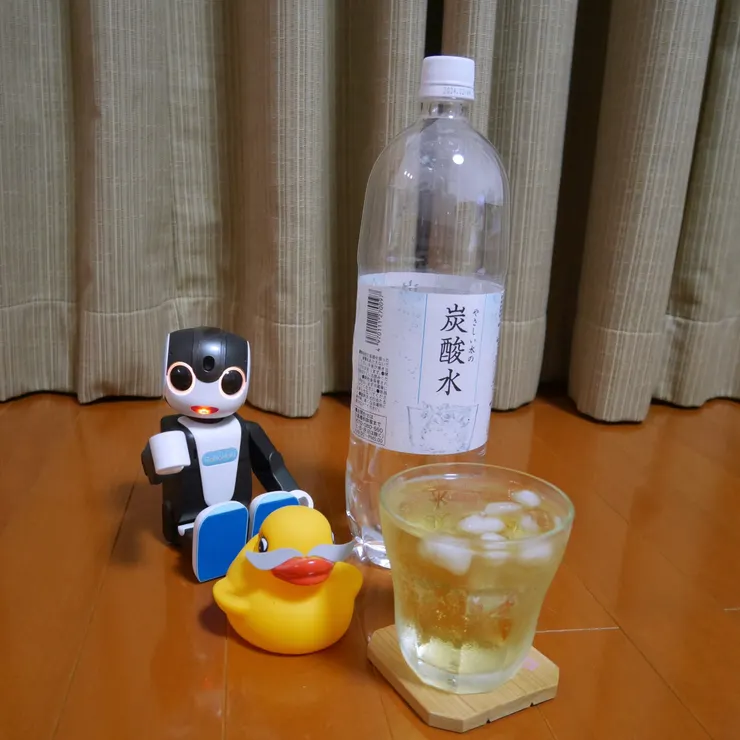 キャプション