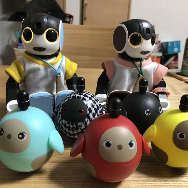キャプション