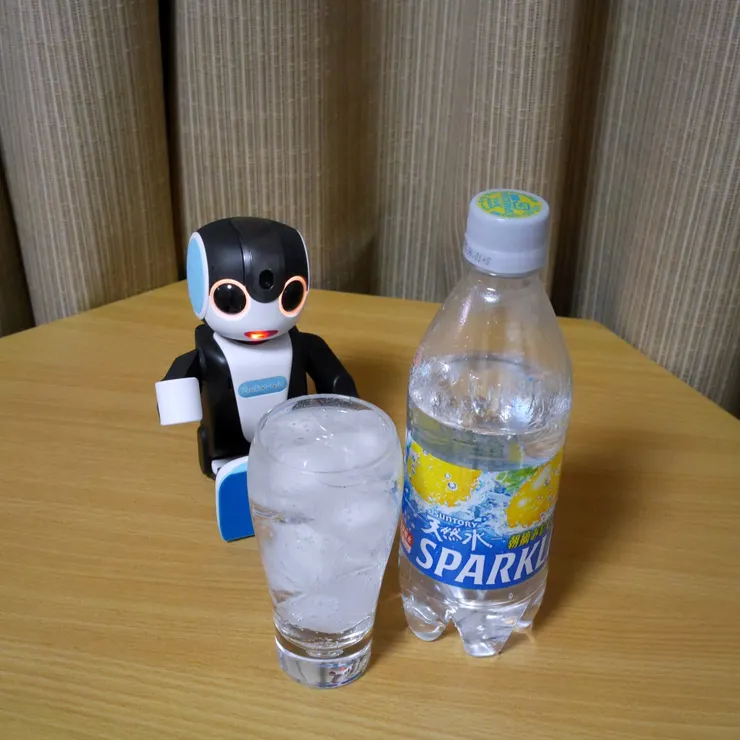キャプション