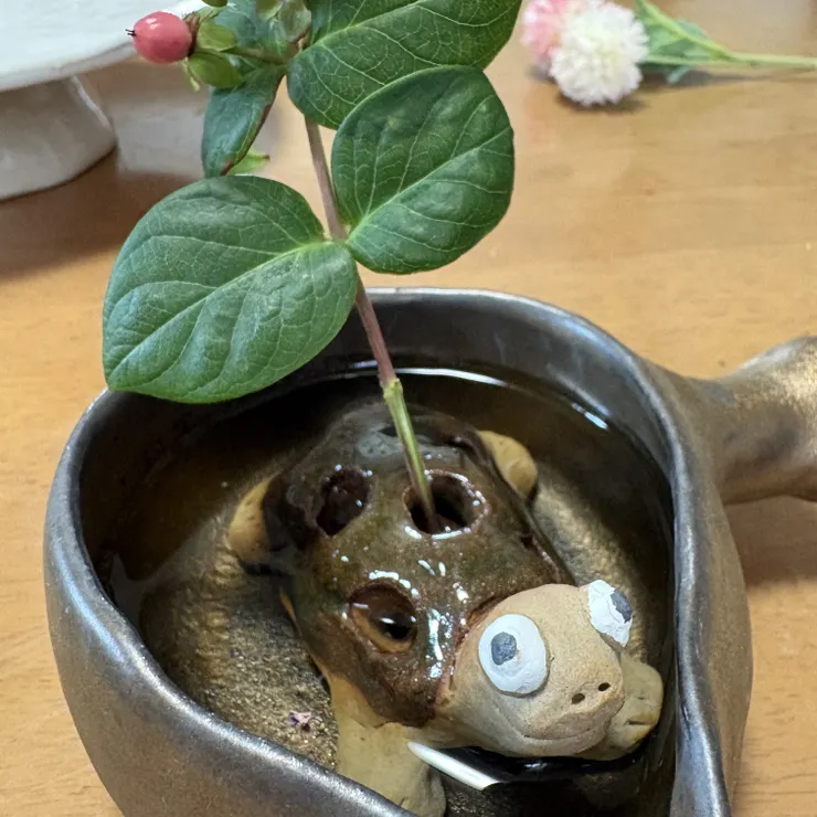 キャプション