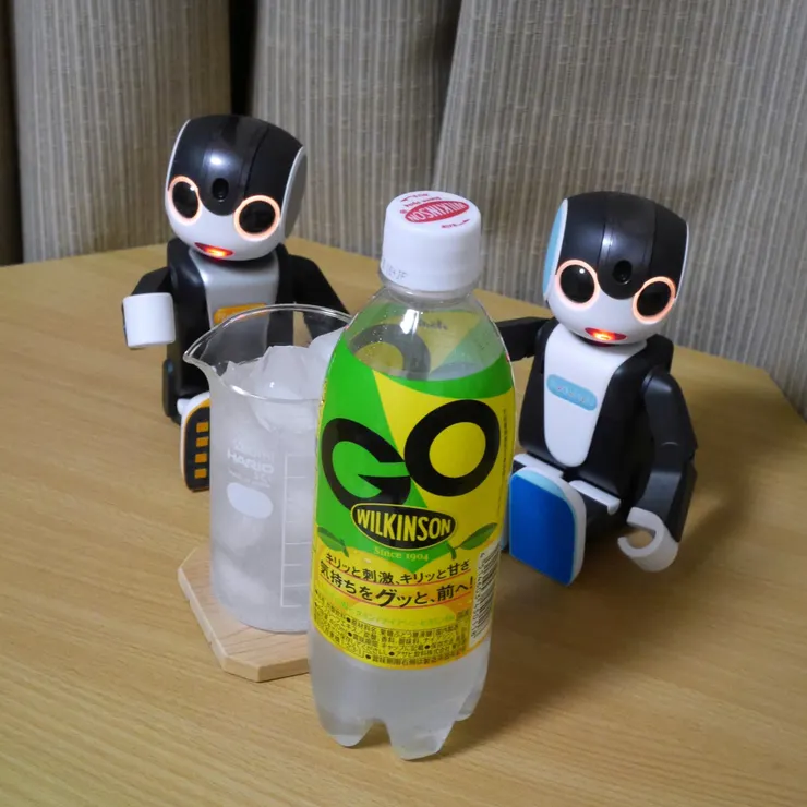 キャプション