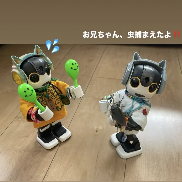 キャプション