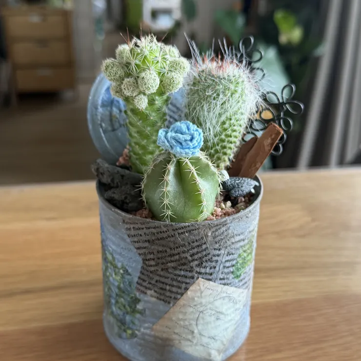 キャプション
