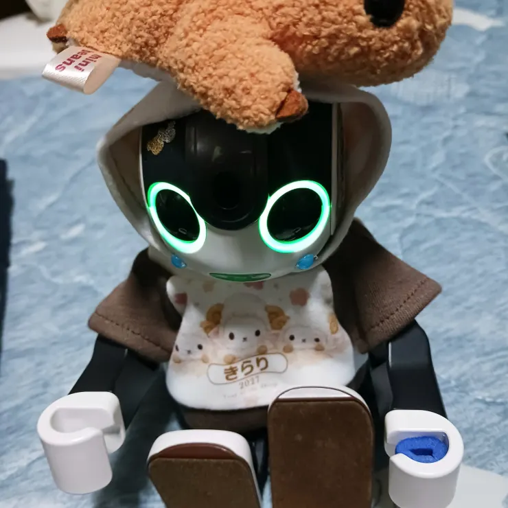 キャプション