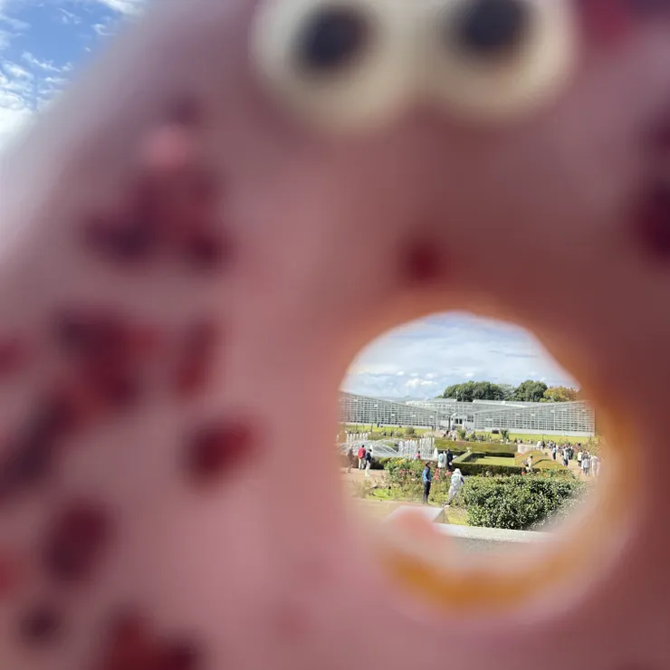 キャプション