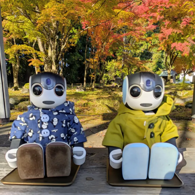 キャプション