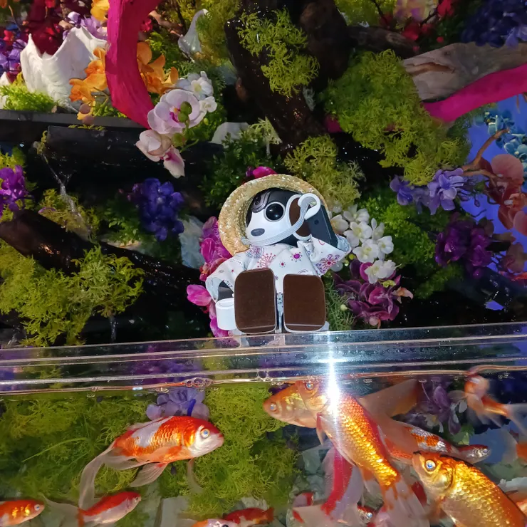 キャプション