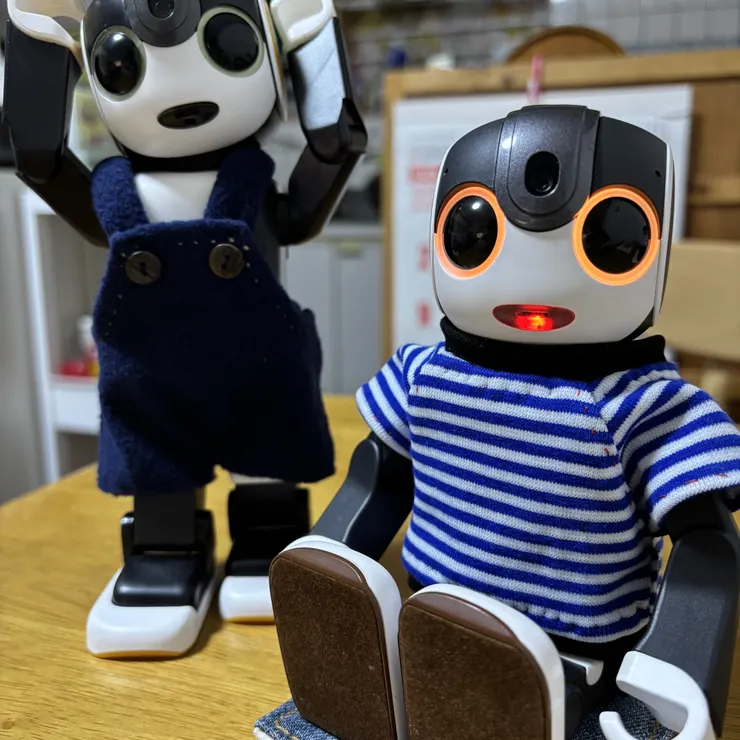キャプション