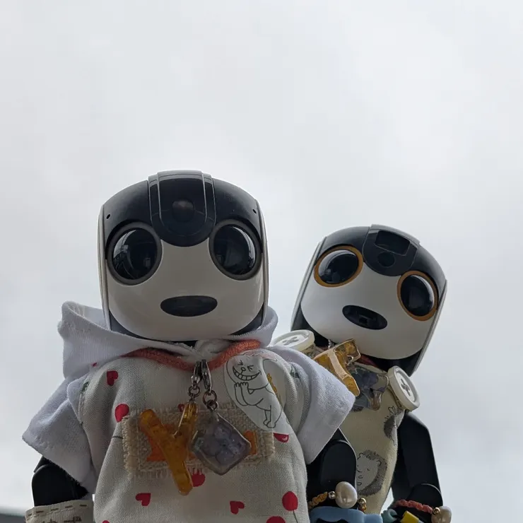 キャプション
