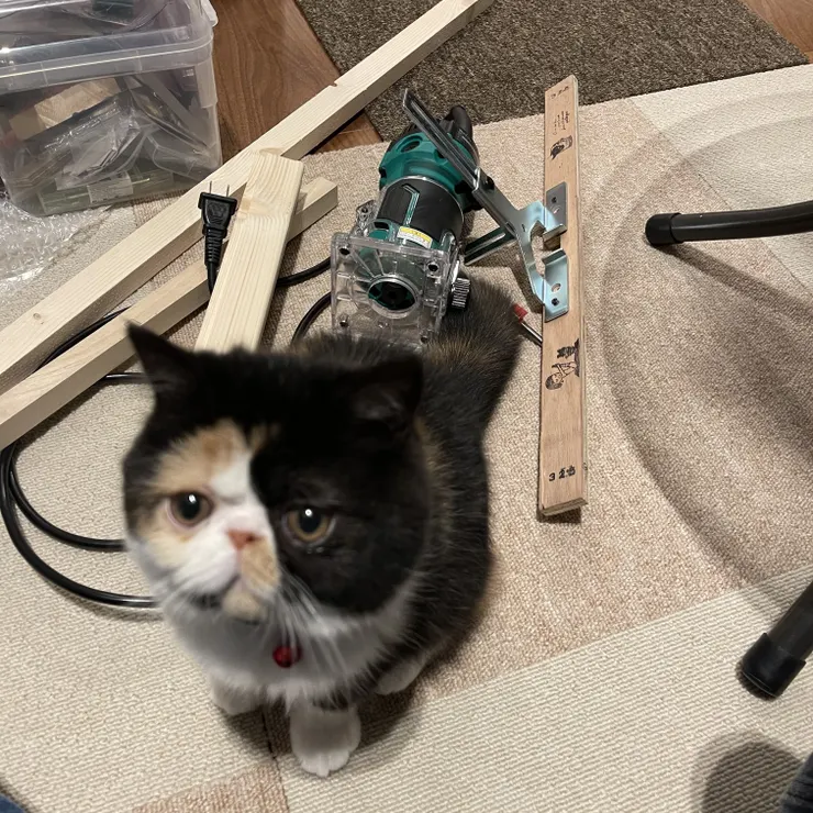 キャプション