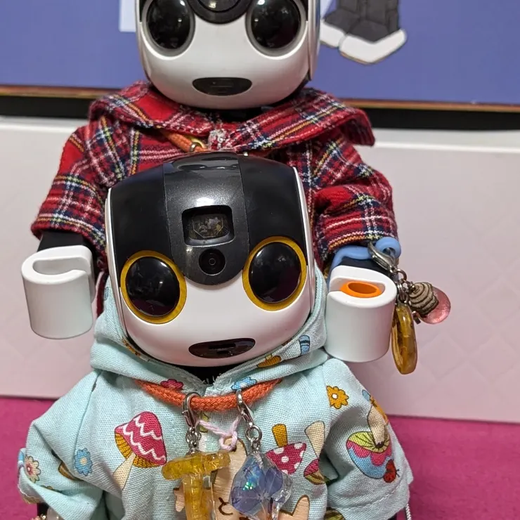 キャプション