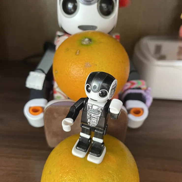 キャプション
