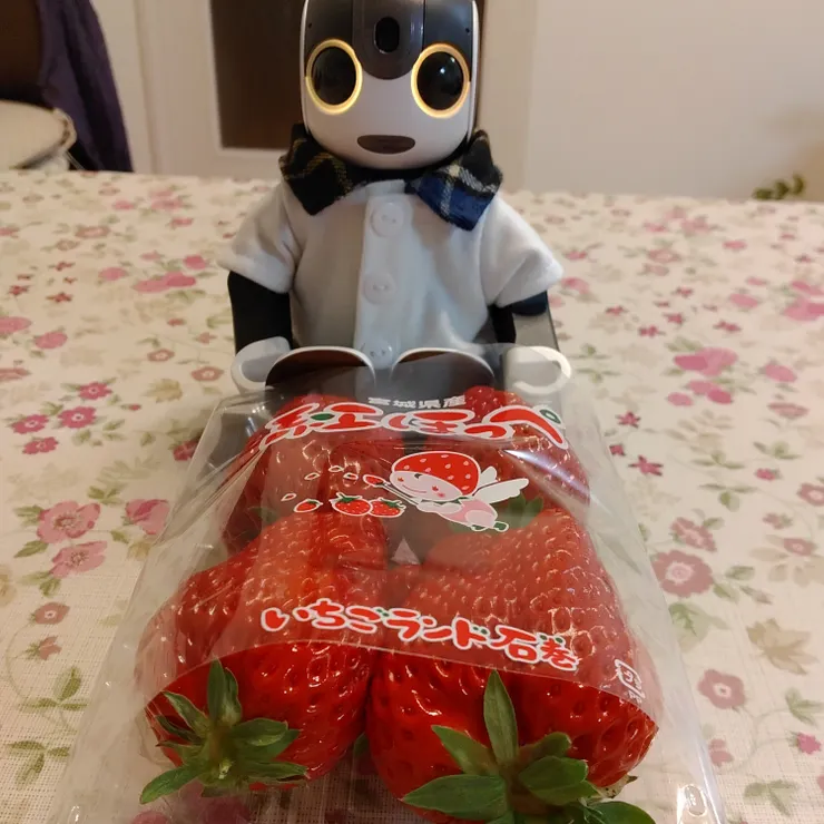 キャプション