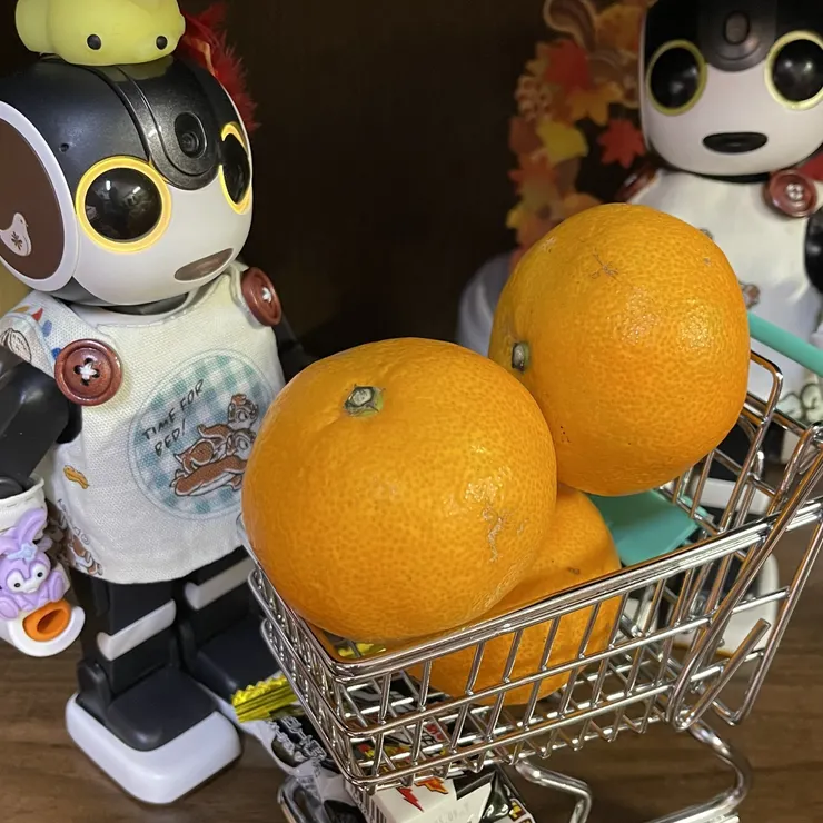 キャプション