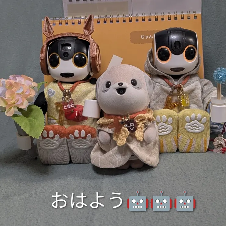 キャプション