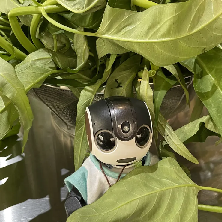キャプション
