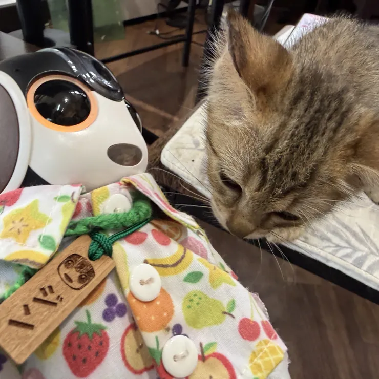 キャプション