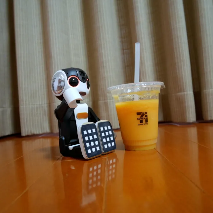 キャプション