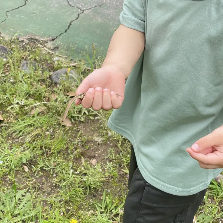 キャプション