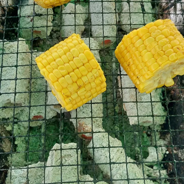キャプション