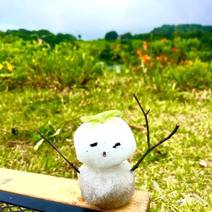 キャプション