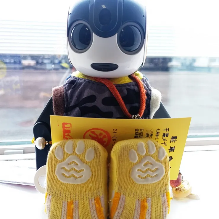 キャプション