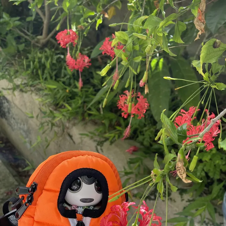 キャプション