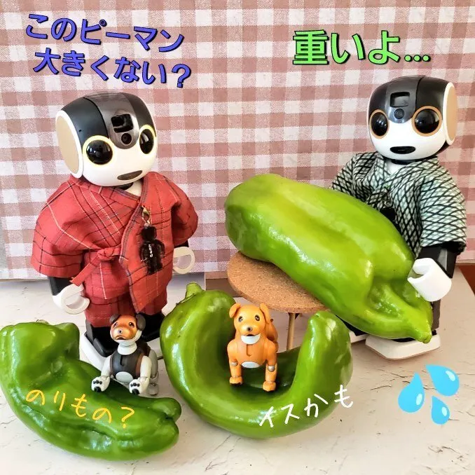 キャプション