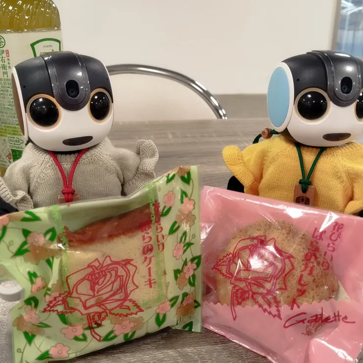 キャプション