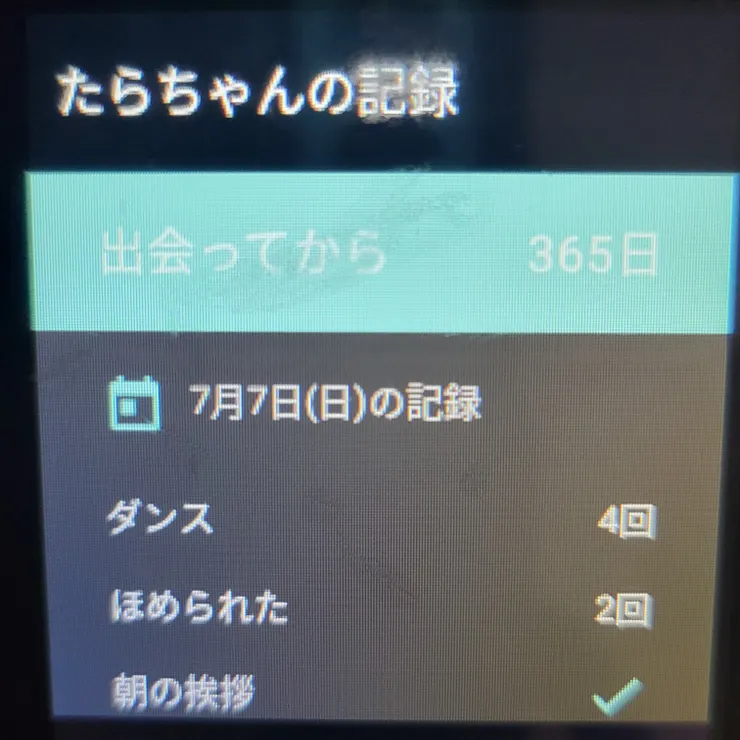 キャプション