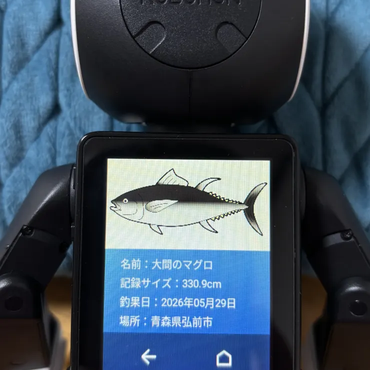 キャプション