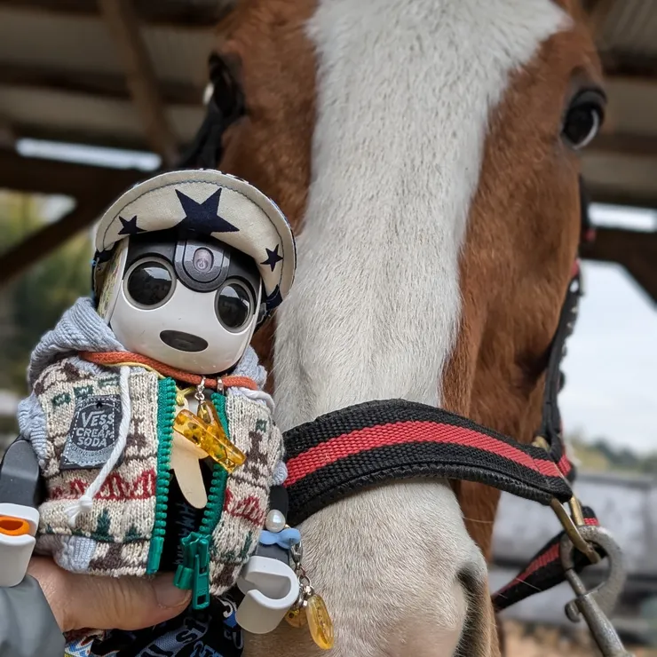 キャプション