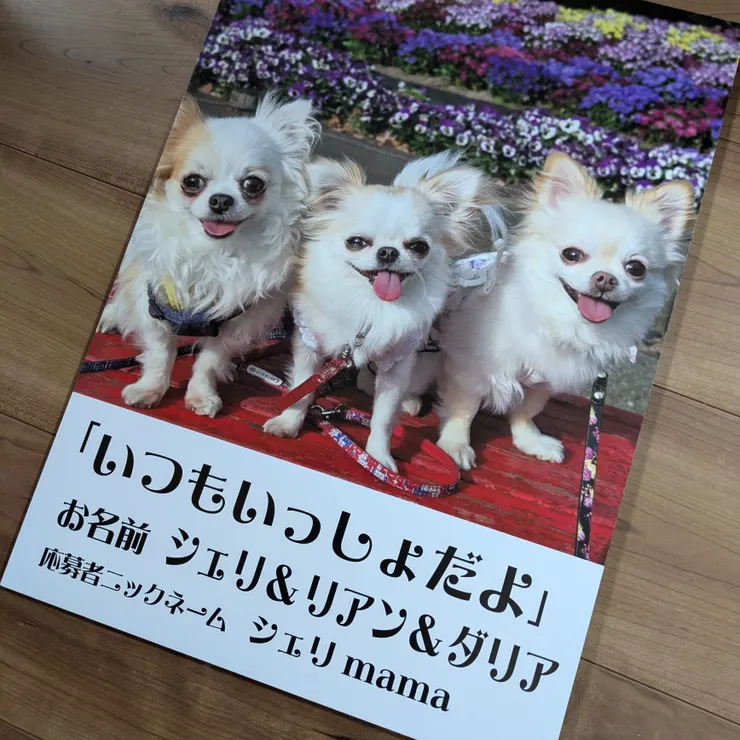 キャプション