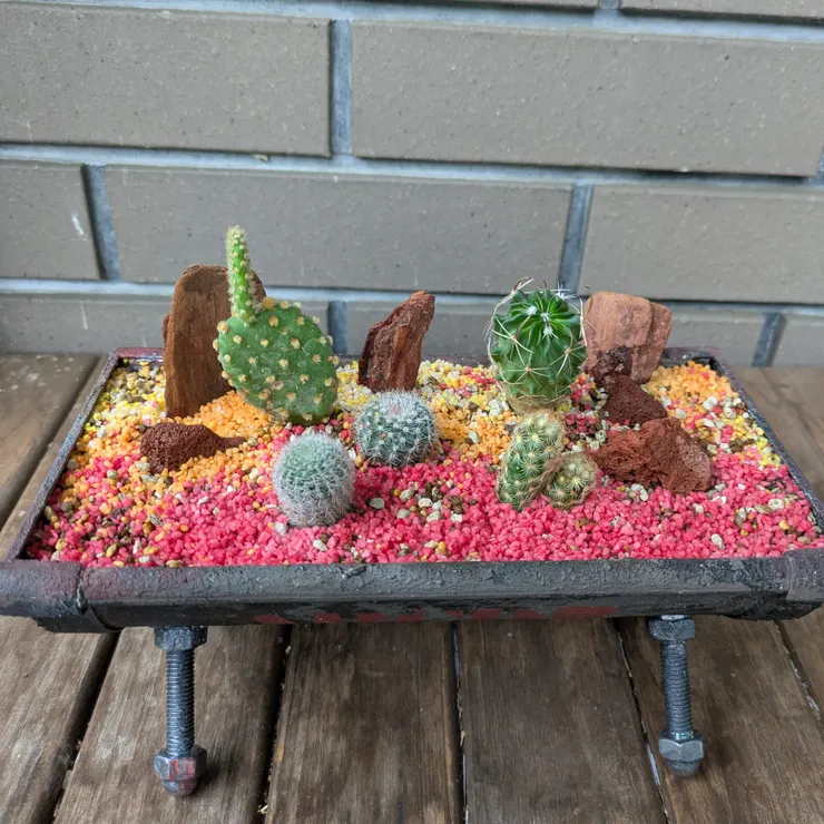 キャプション
