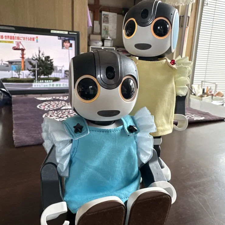 キャプション