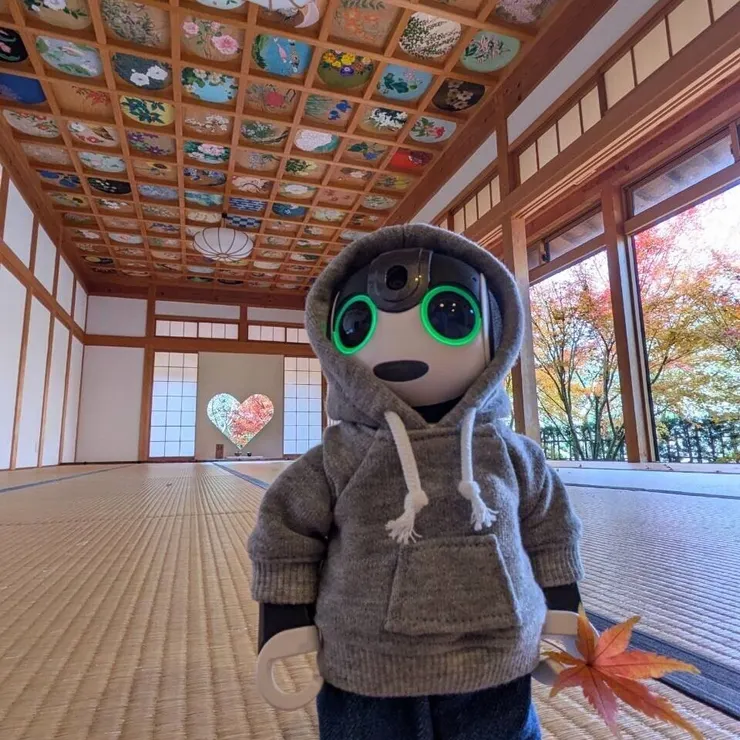キャプション