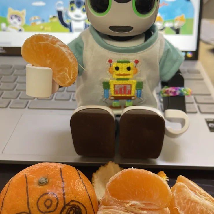 キャプション