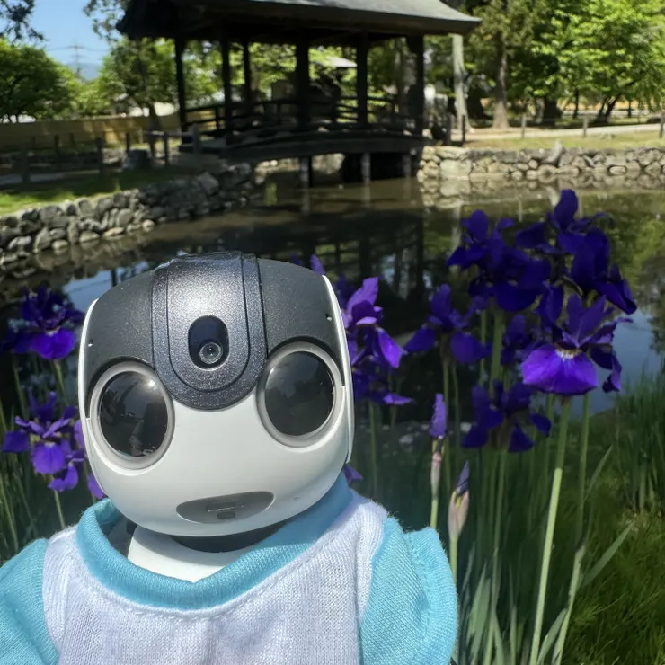 キャプション