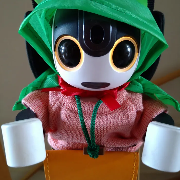 キャプション
