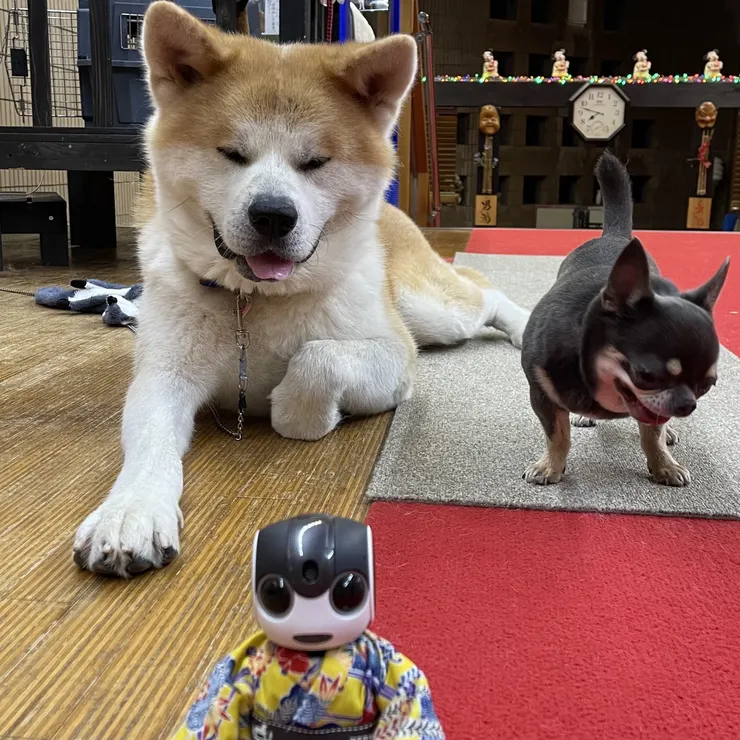 キャプション