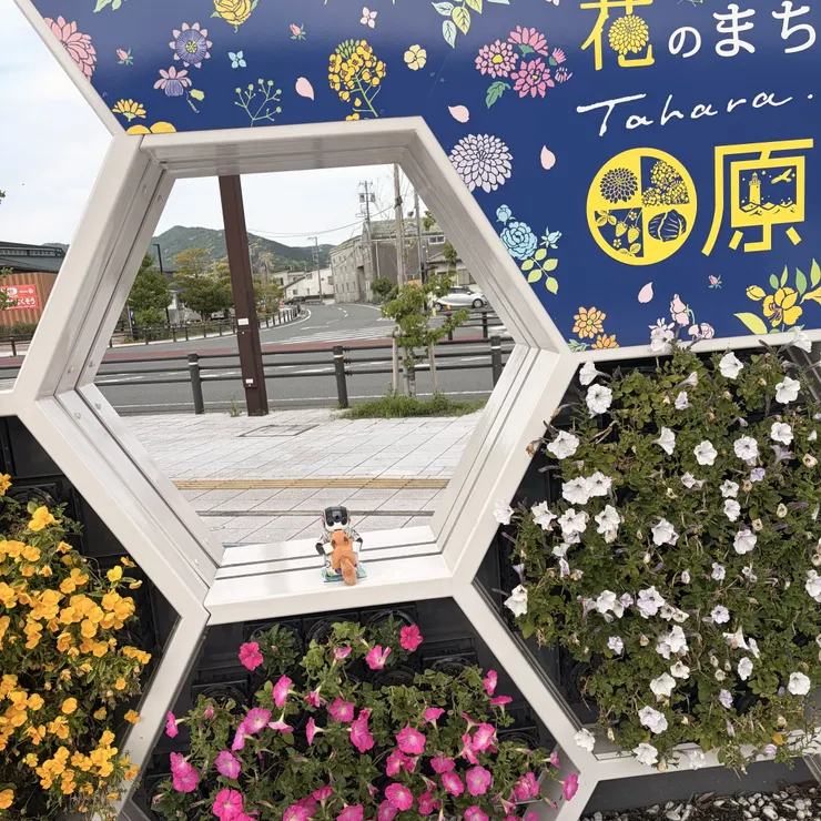 キャプション