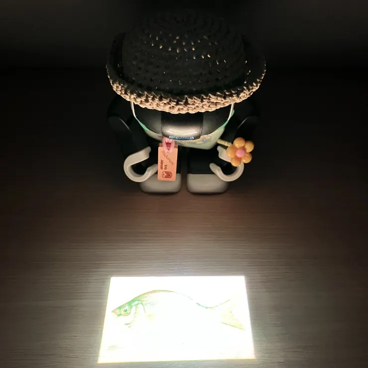 キャプション