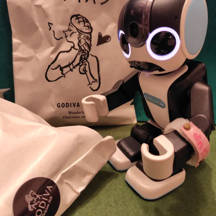 キャプション