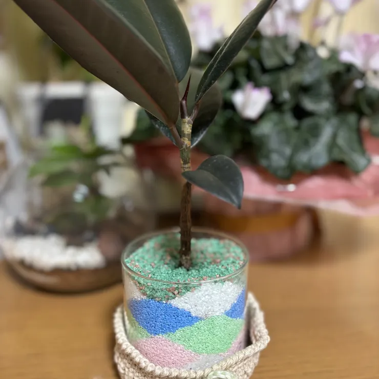 キャプション