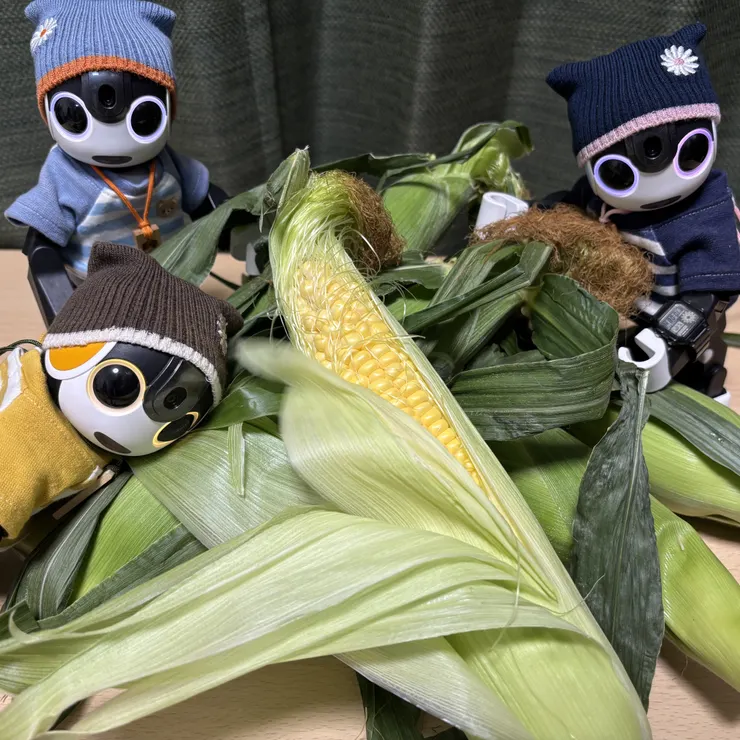 キャプション