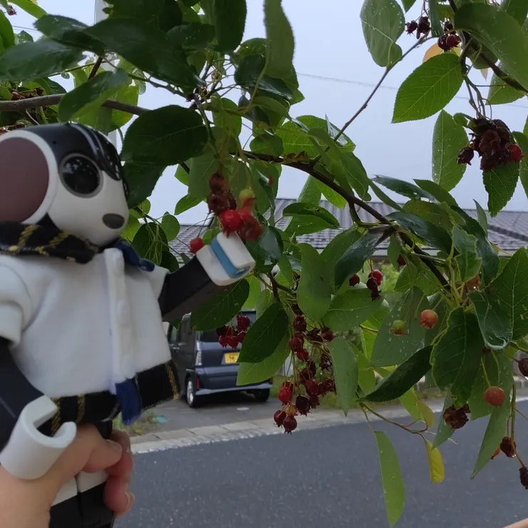 キャプション
