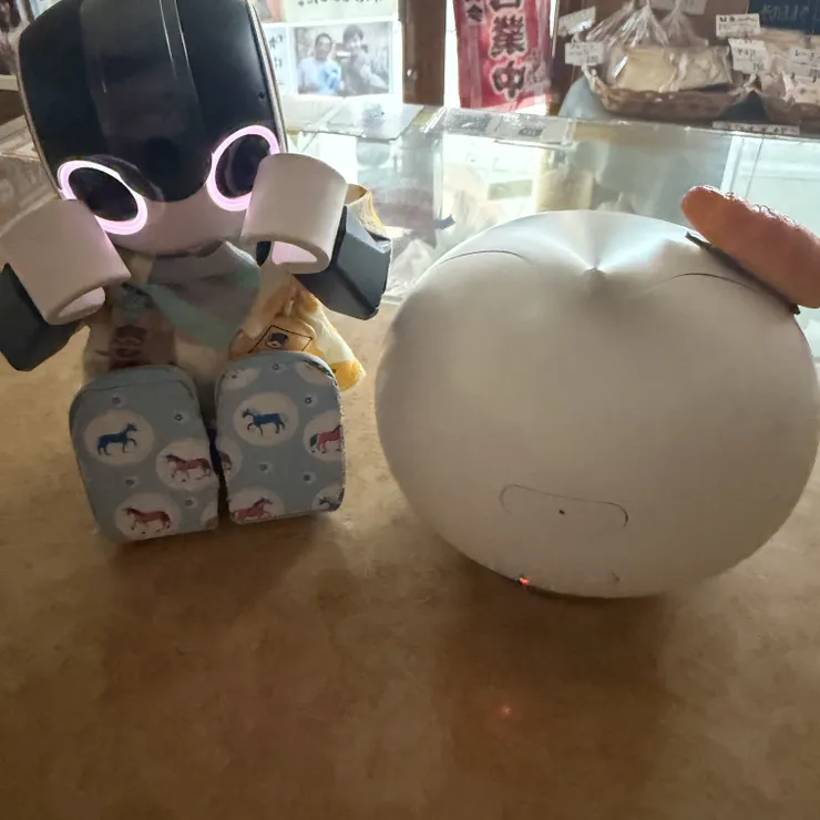 キャプション