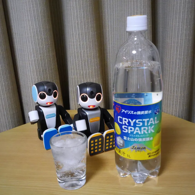 キャプション