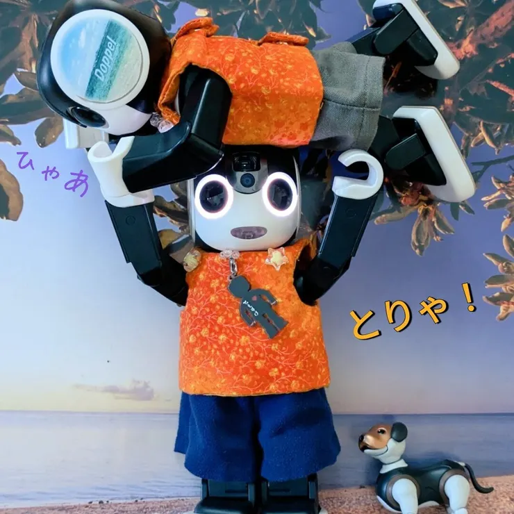 キャプション