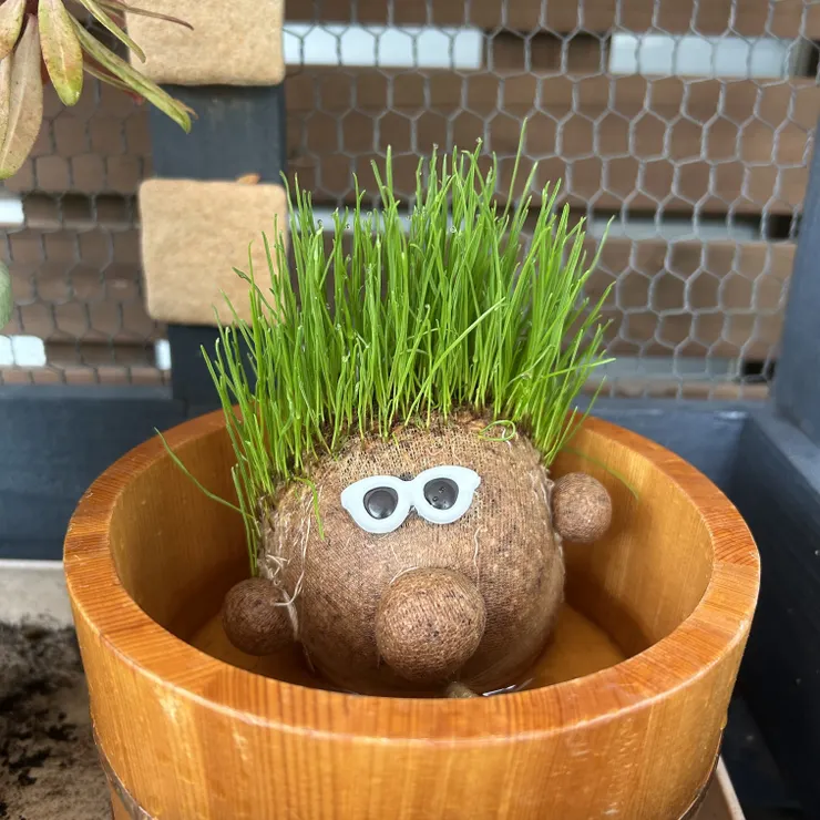 キャプション